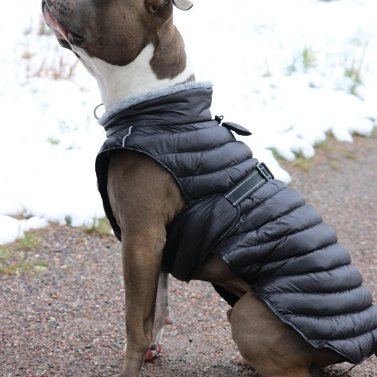 Alpine Extreme Weather Puffer Dog Coat Black