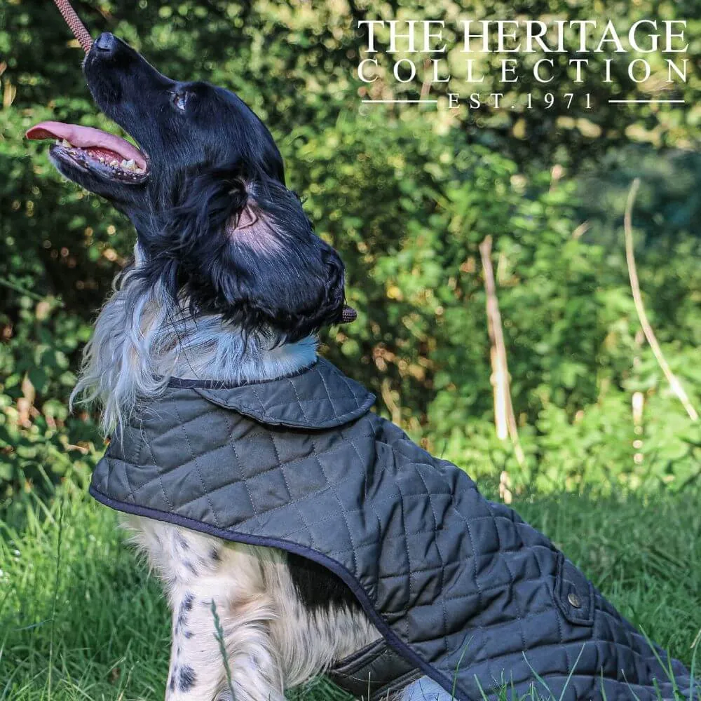 Ancol Heritage Quilted Dog Coat