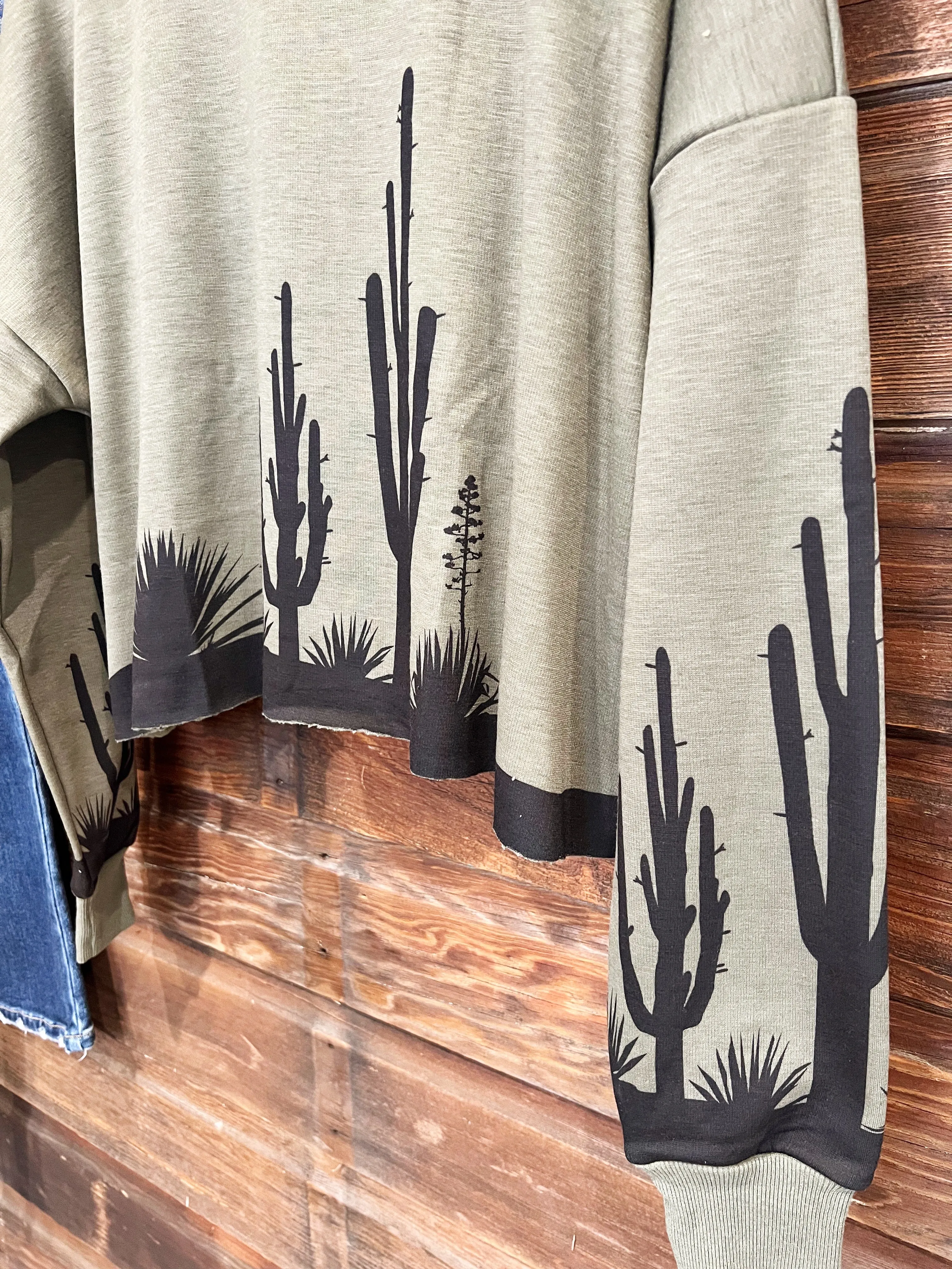 The Desert Scene Crop Pullover